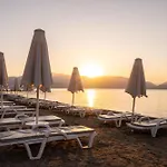 Cettia (adults Only)