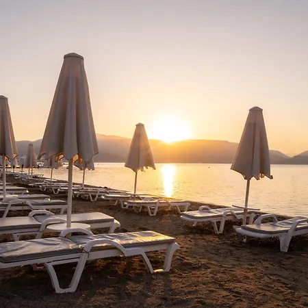 Cettia (adults Only)