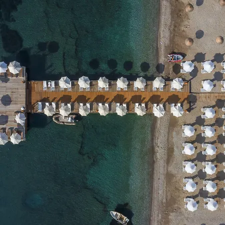 Cettia (adults Only)